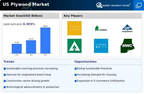 US Plywood Market Infographic