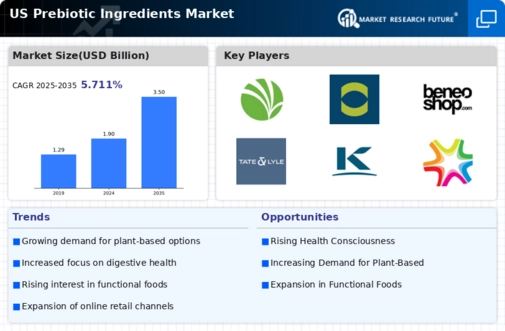 US Prebiotic Ingredients Market Infographic