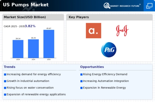 US Pumps Market Infographic