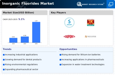 Inorganic Fluorides Market Infographic