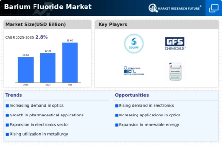 Barium Fluoride Market Infographic