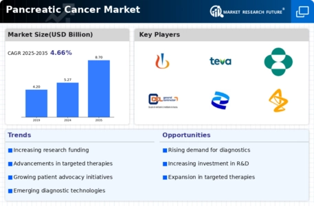 Pancreatic cancer Market Infographic