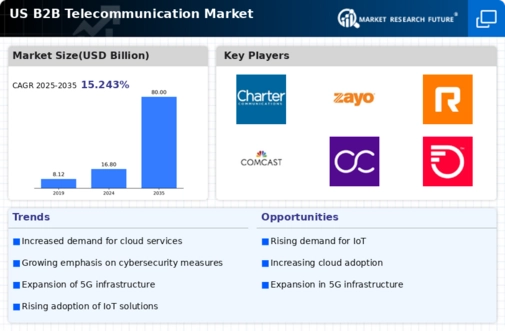 US B2B Telecommunication Market Infographic