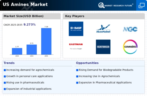 US Amines Market Infographic