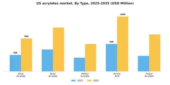 US Acrylates Market Segment Image 3