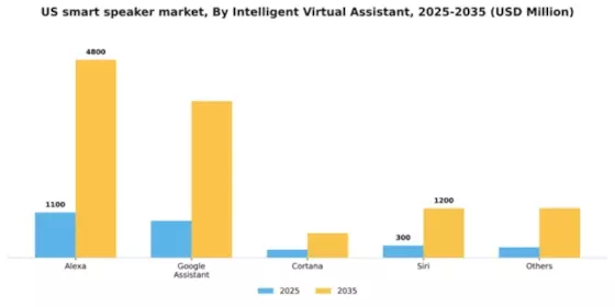 US Smart Speaker Market Segment Image 1