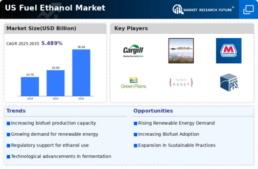 US Fuel Ethanol Market Infographic