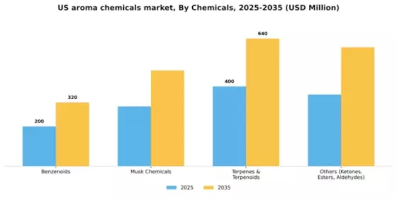 US Aroma Chemicals Market Segment Image 1