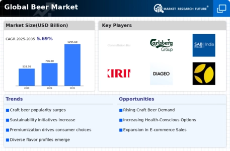 Beer Market Infographic