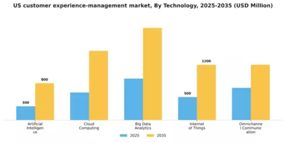 US Customer Experience Management Market Segment Image 2