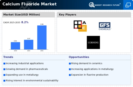 Calcium Fluoride Market Infographic