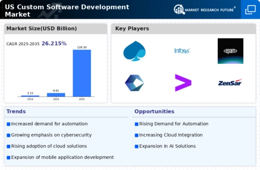 US Custom Software Development Market Infographic