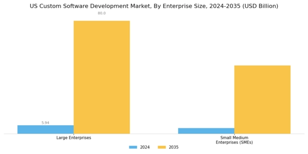 US Custom Software Development Market Segment Image 2