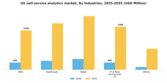 US Self Service Analytics Market Segment Image 2