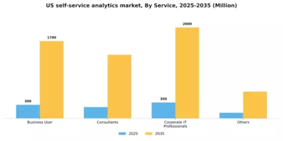 US Self Service Analytics Market Segment Image 3