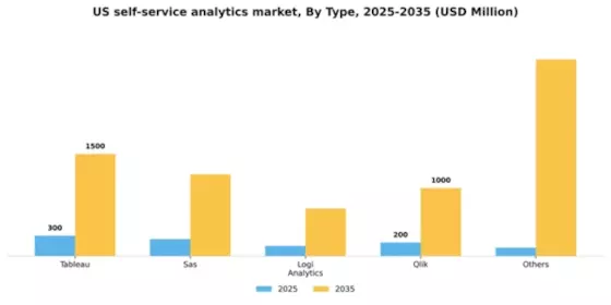 US Self Service Analytics Market Segment Image 4
