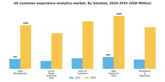 US Customer Experience Analytics Market Segment Image 0