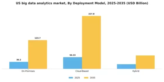 US Big Data Analytics Market Segment Image 0