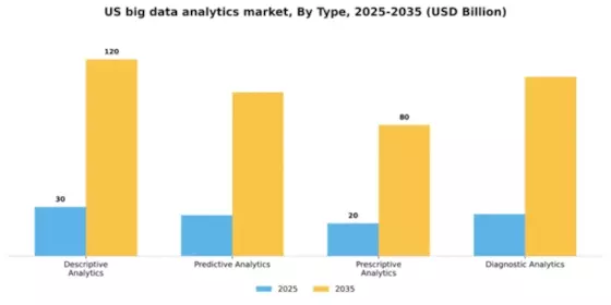 US Big Data Analytics Market Segment Image 3