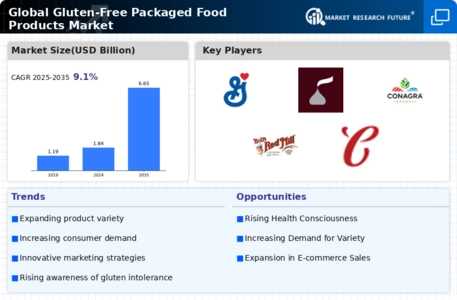 Gluten-Free Packaged Food Market Infographic
