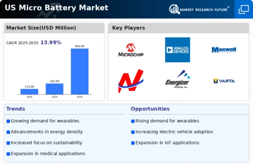 US Micro Battery Market Infographic