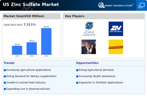 US Zinc Sulphate Market Infographic