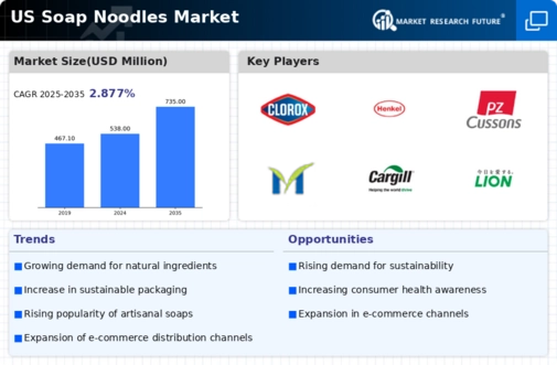 US Soap Noodles Market Infographic