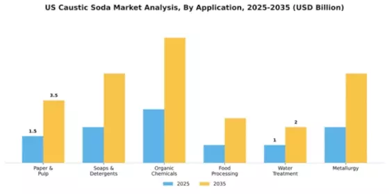 US Caustic Soda Market Segment Image 0