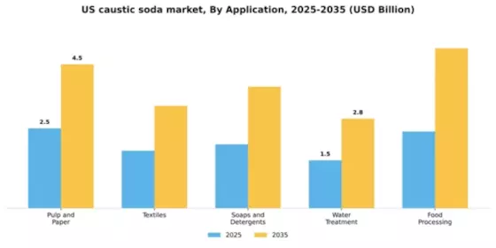 US Caustic Soda Market Segment Image 0