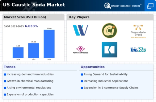 US Caustic Soda Market Infographic