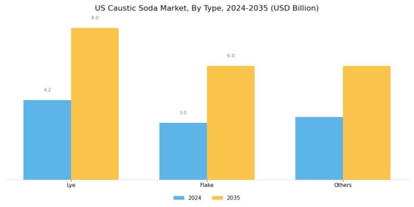 US Caustic Soda Market Segment Image 1