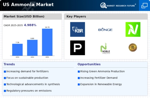US Ammonia Market Infographic