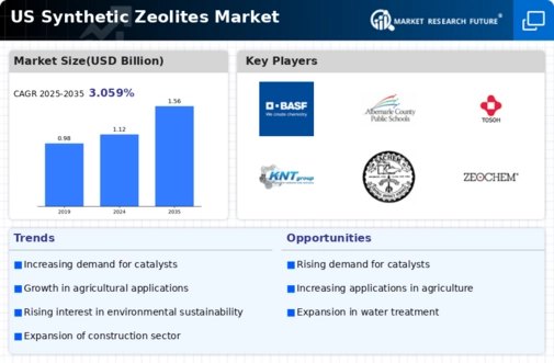 US Synthetic Zeolites Market Infographic