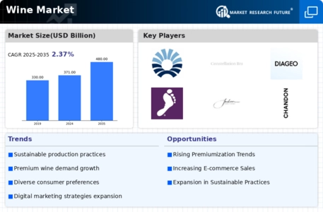 Wine Market Infographic