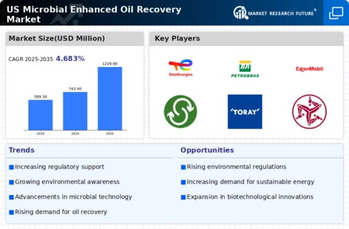US Microbial Enhanced Oil Recovery Market Infographic