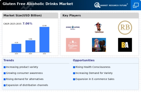 Gluten Free Alcoholic Drinks Market Infographic