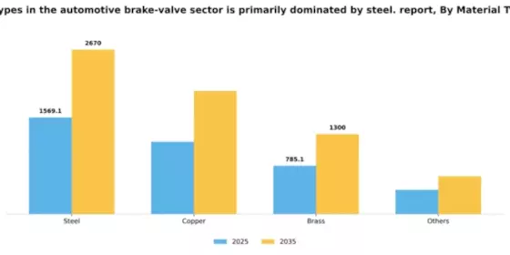 US Automotive Brake Valve Market Segment Image 0
