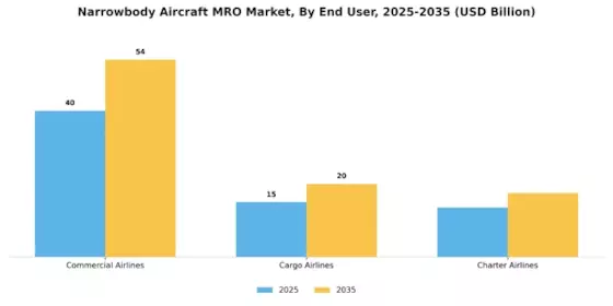 Narrowbody Aircraft MRO Market Segment Image 1