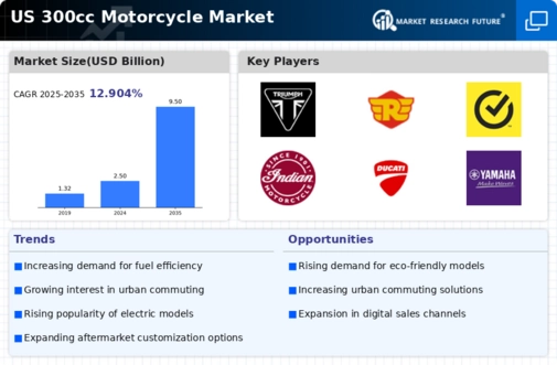 US 300cc Motorcycle Market Infographic