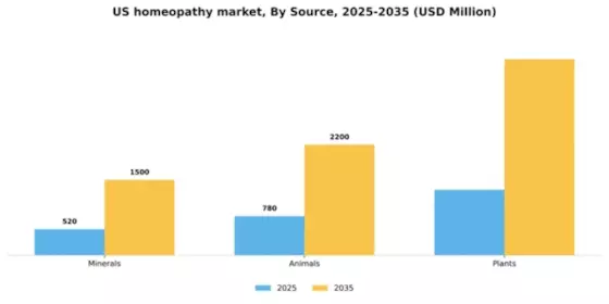 US Homeopathy Market Segment Image 1