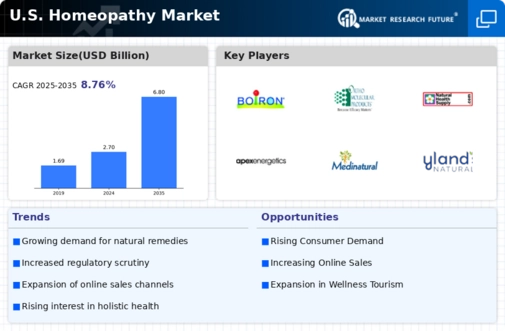 US Homeopathy Market Infographic