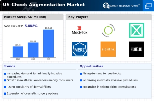 US Cheek Augmentation Market Infographic