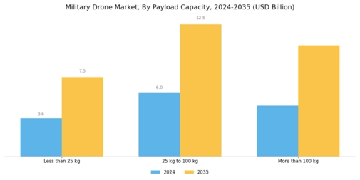 Military Drone Market Segment Image 3