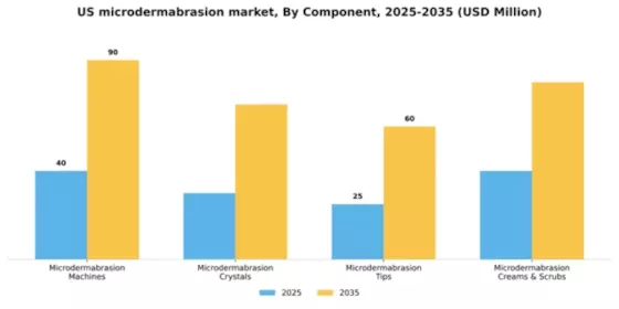 US Microdermabrasion Market Segment Image 0