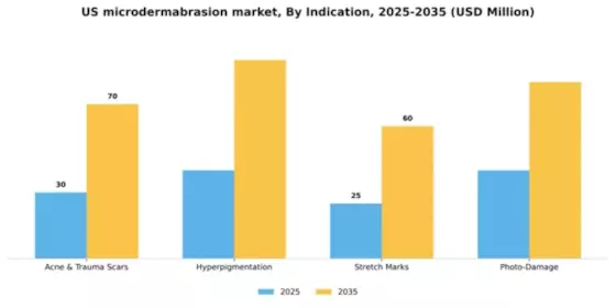 US Microdermabrasion Market Segment Image 2