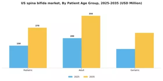 US Spina Bifida Market Segment Image 1