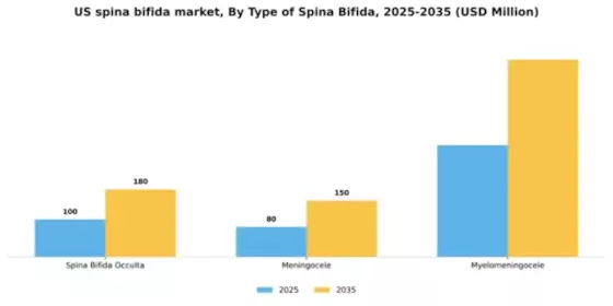 US Spina Bifida Market Segment Image 3