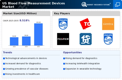 US Blood Flow Measurement Devices Market Infographic