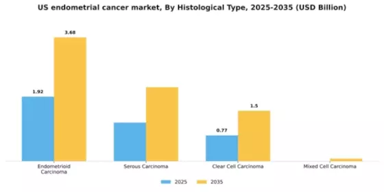 US Endometrial Cancer Market Segment Image 1