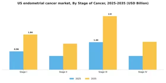 US Endometrial Cancer Market Segment Image 3